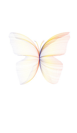 线条蝴蝶矢量图