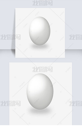 鸡蛋传统圆形蛋壳