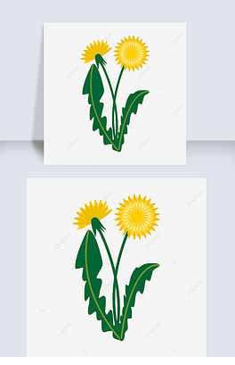 可爱的蒲公英剪贴画花卉