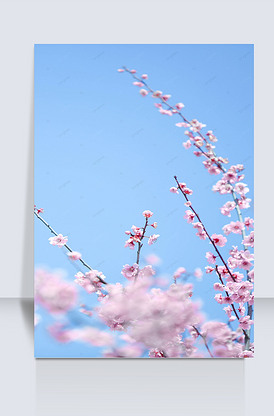 浪漫版图片素材_浪漫版模板下载-我图网vip素材