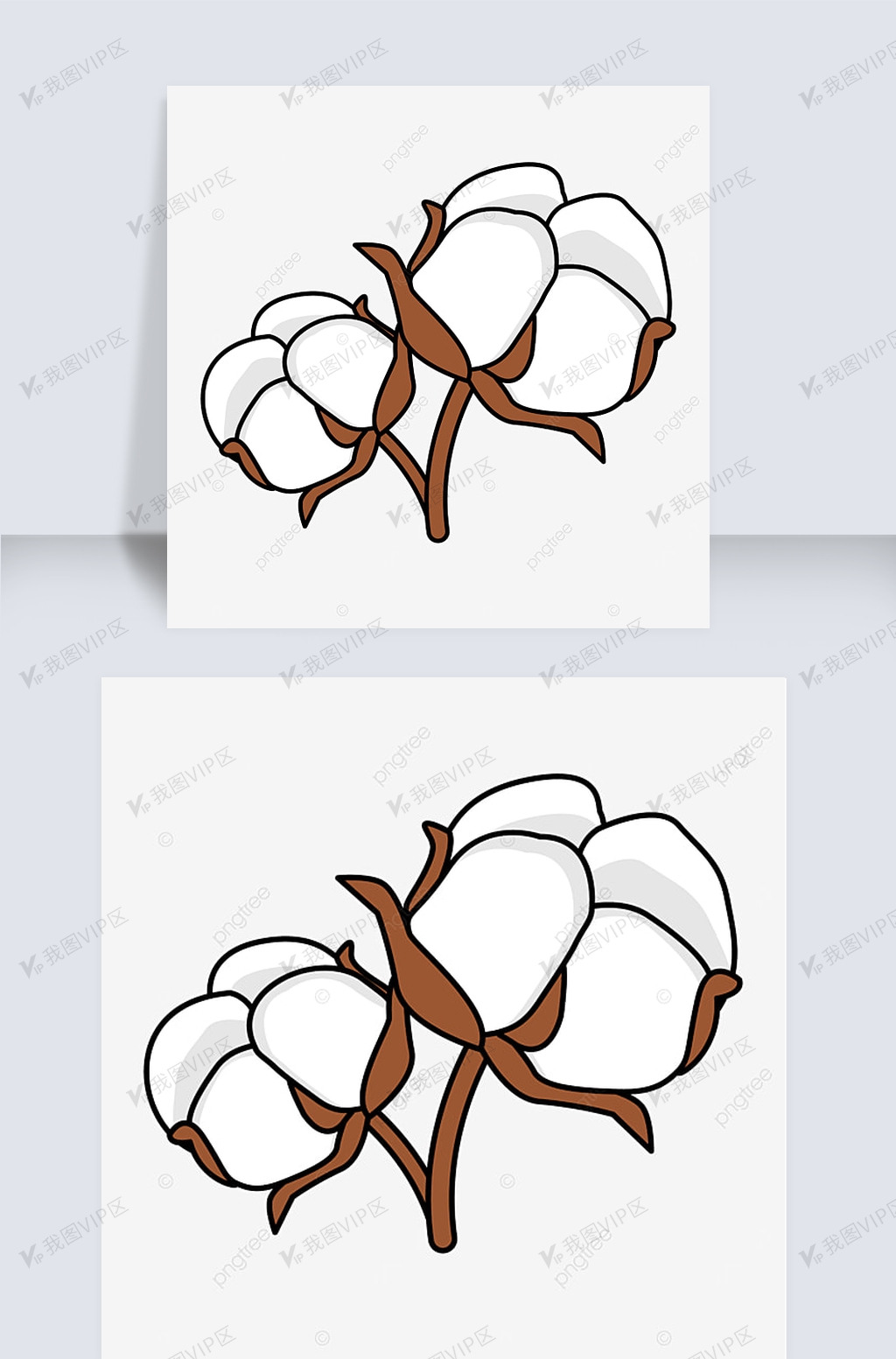 花朵般的棉花剪贴画