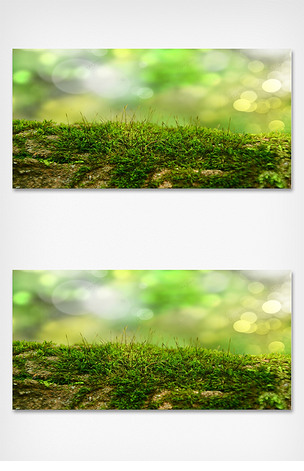 原创绿色青苔小草素雅光效壁纸