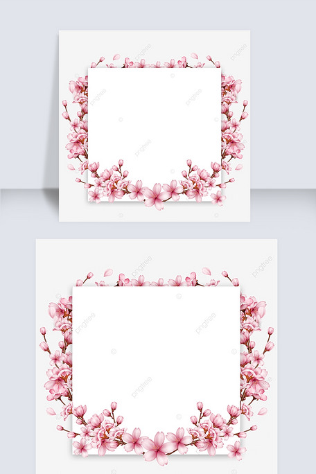 正方形树枝花苞春天樱花边框