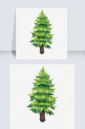 针叶树木青松大自然植物松树剪贴画