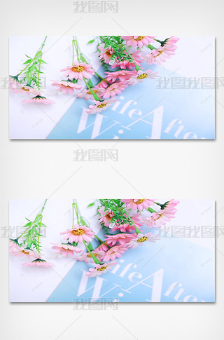 淡雅简单背景竖图专题模板-淡雅简单背景竖图图片素材下载-我图网