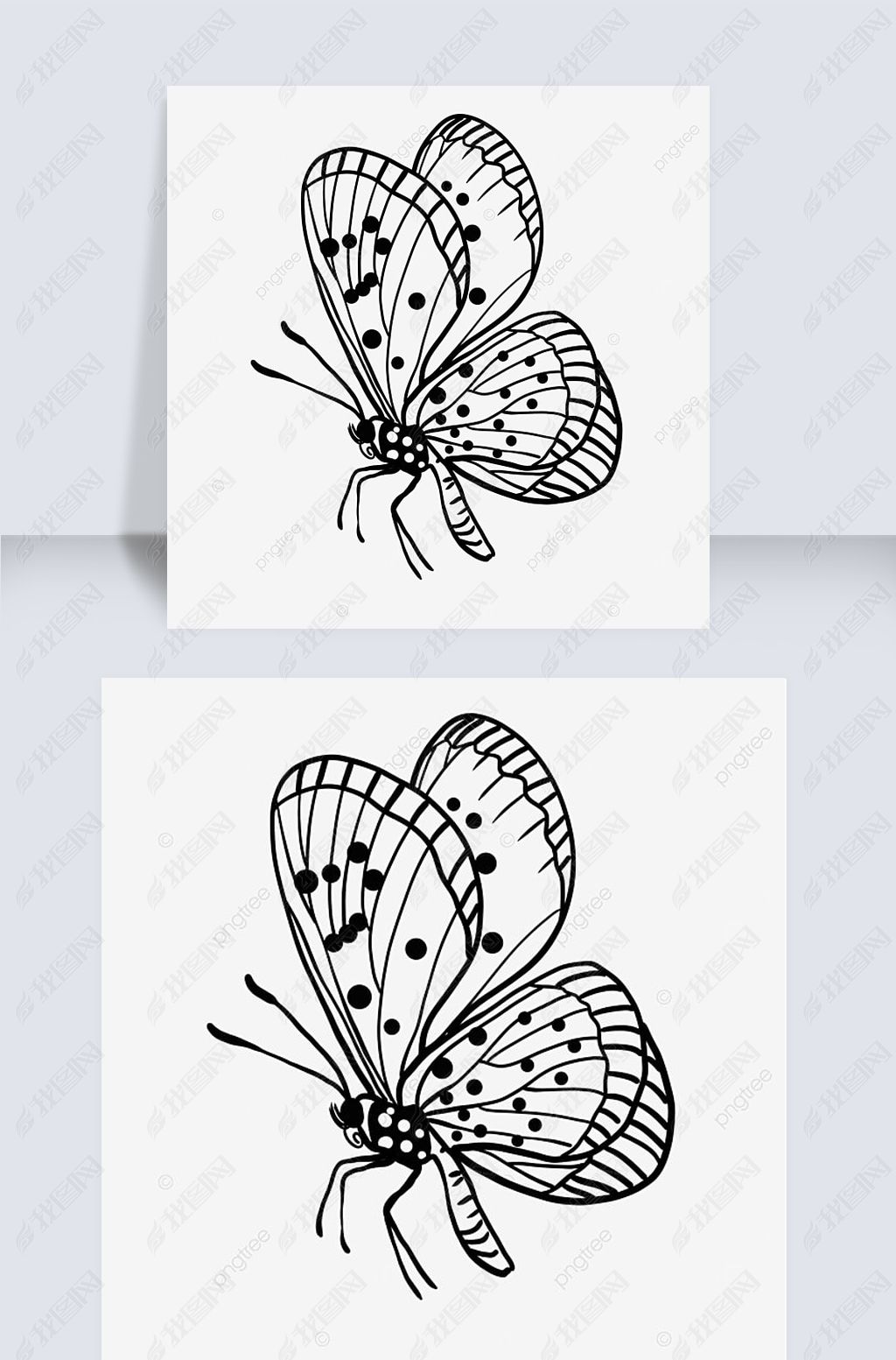 Ʒڷ߸butterfly clipart black and white