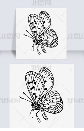 Ʒڷ߸butterfly clipart black and white