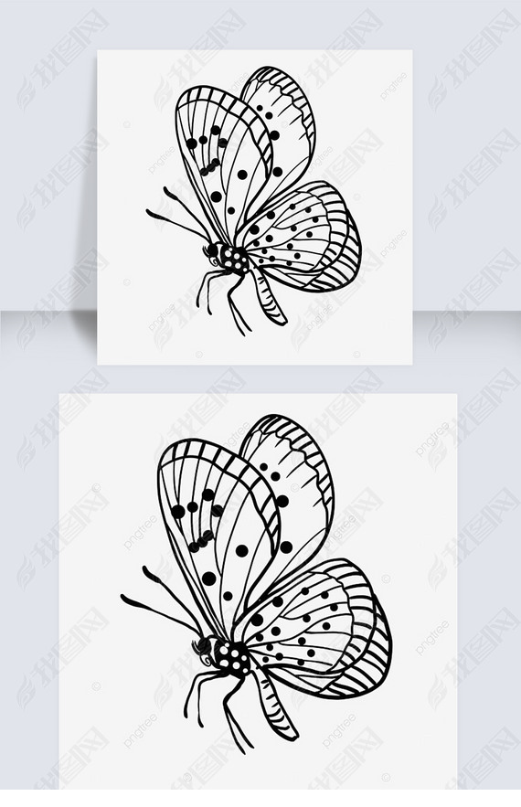 Ʒڷ߸butterfly clipart black and white
