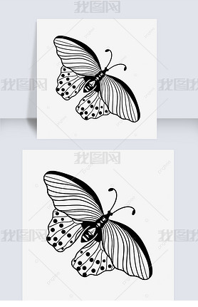 չڰbutterfly clipart black and white