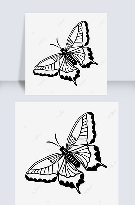 黑白简约条纹蝴蝶昆虫butterf.