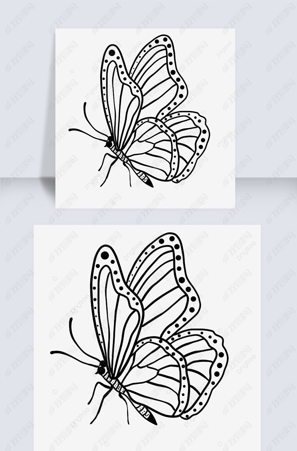 ڷ۵İƺbutterfly clipart black and white