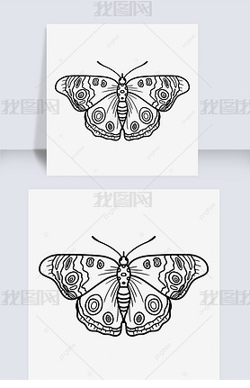 ƺ津butterfly clipart black and white