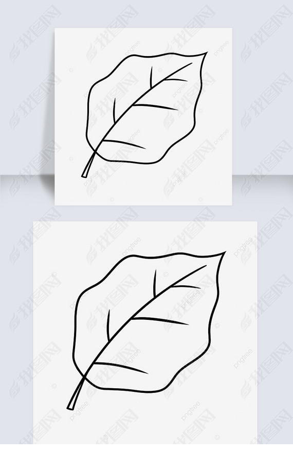 Ưleaf black and white clipart