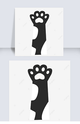 白色斑纹的黑色猫爪