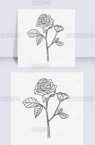 ڰõ߸ҶӴrose clipart black and white