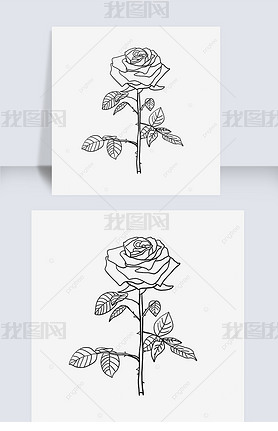 һõڰֲﻨrose clipart black and white