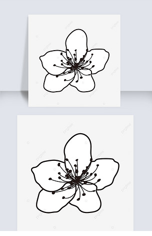 黑白线条桃花插画flower clipart black and white