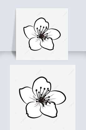 黑白线条一朵梅花flower cl.
