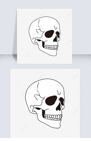 扁平黑白头骨剪贴画skull clipart头骨