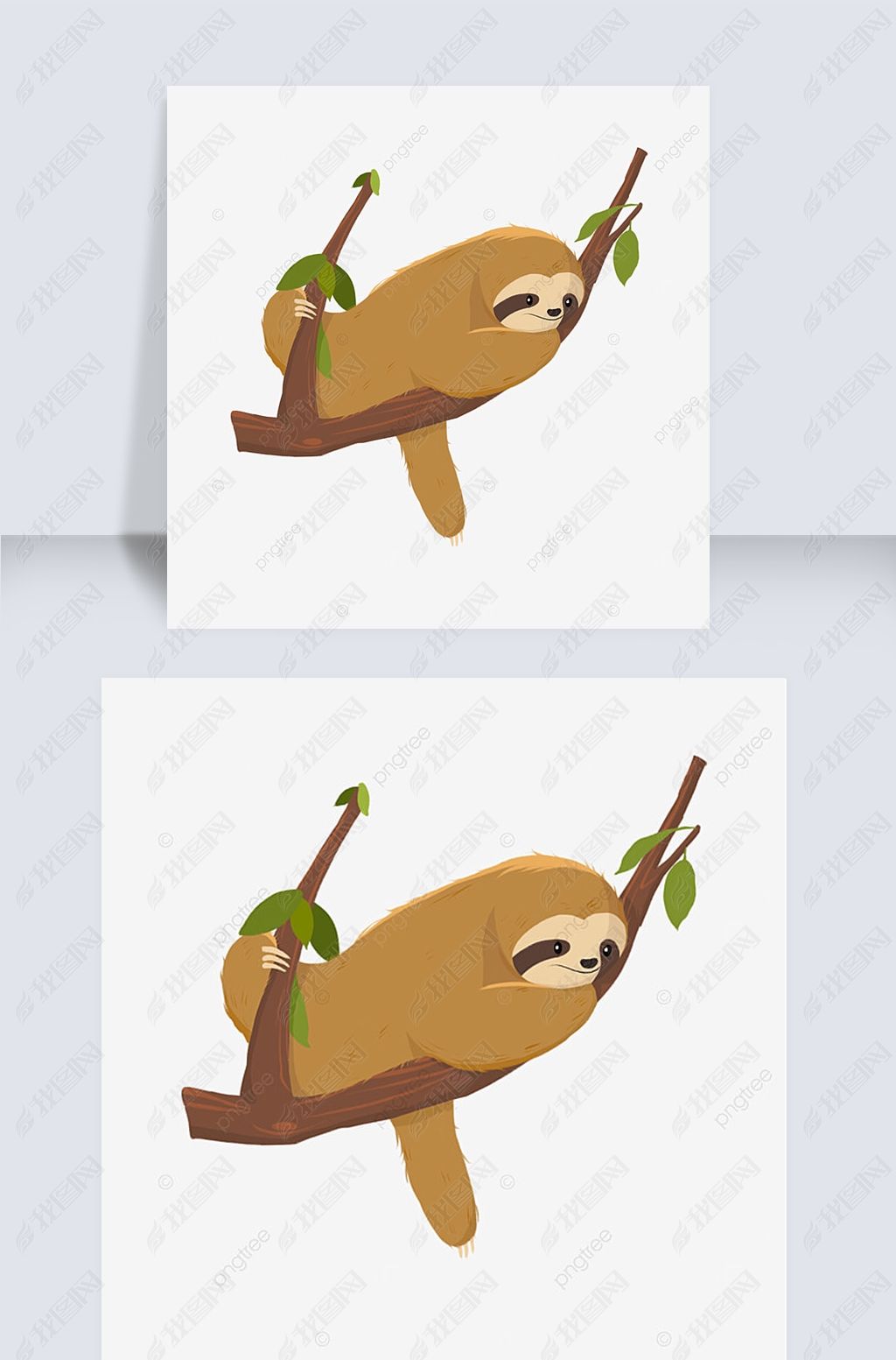 ͨɫ˯Ҷsloth clipart