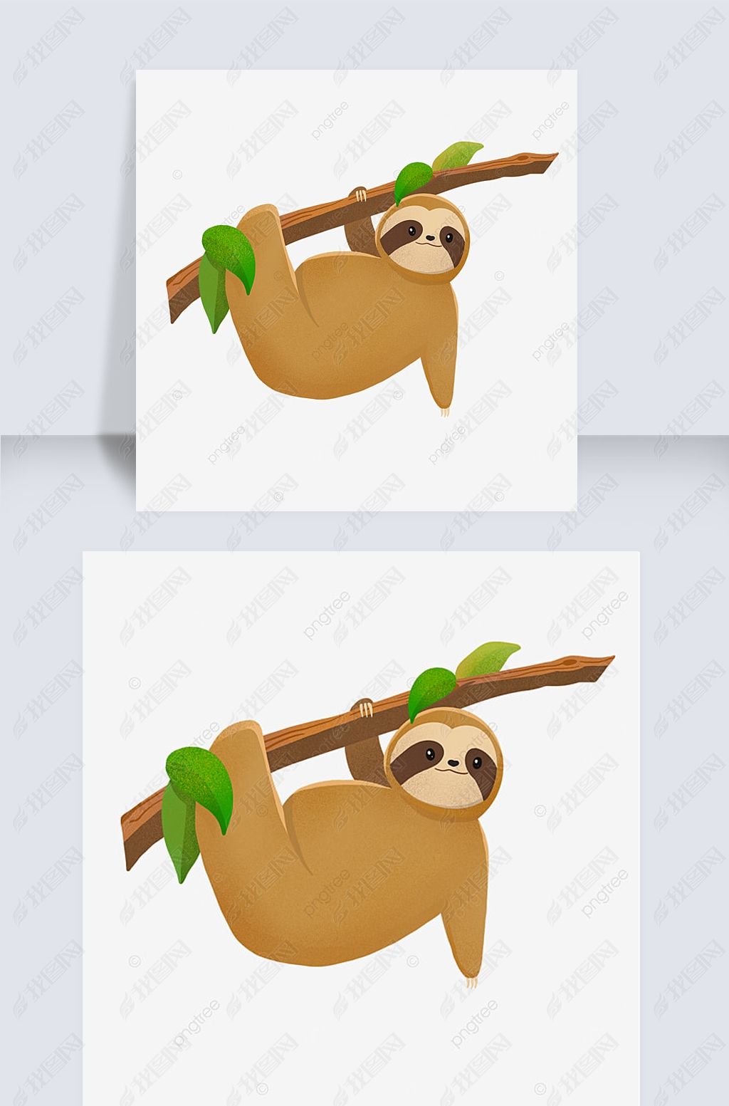 ͨɰƤҶ sloth clipart