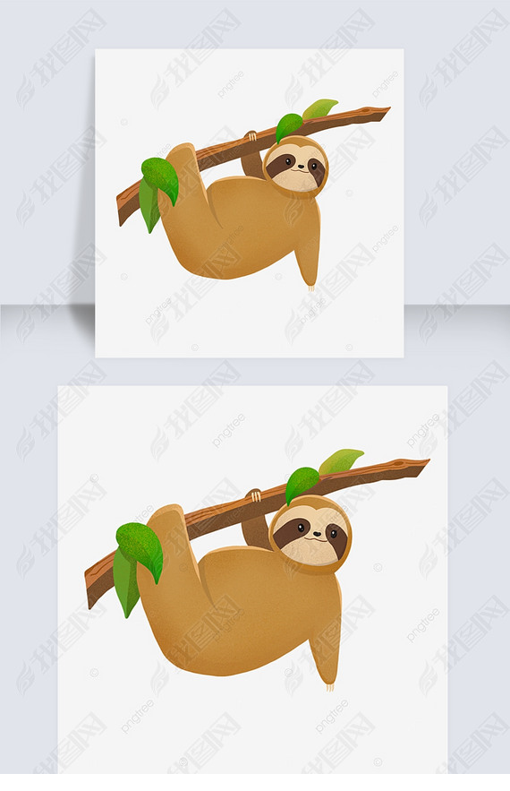 ͨɰƤҶ sloth clipart