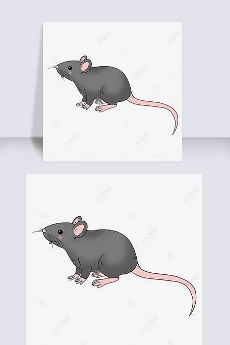 可爱灰色ratclipart