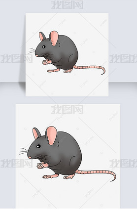 rat clipart