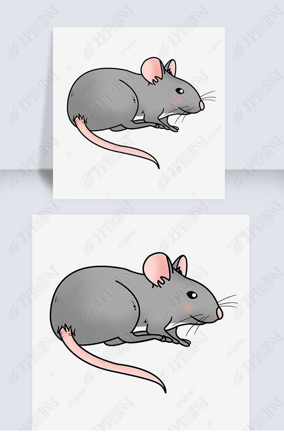 ɫɰrat clipart