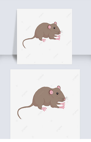 ratclipart小棕鼠