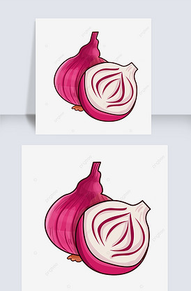 紫红色的卡通onion clipa.