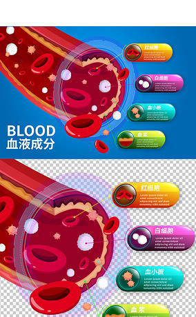 血液细胞医疗信息图表