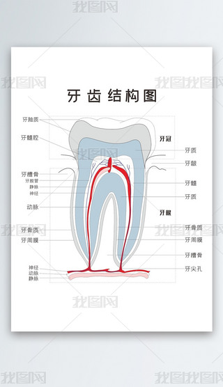 ݽṹעʸͼ