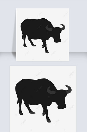 黑色水牛行走剪影