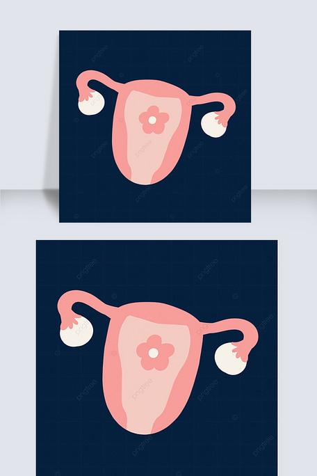 器官妇科红色手绘子宫