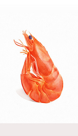 烂虾专题模板-烂虾图片素材下载-我图网