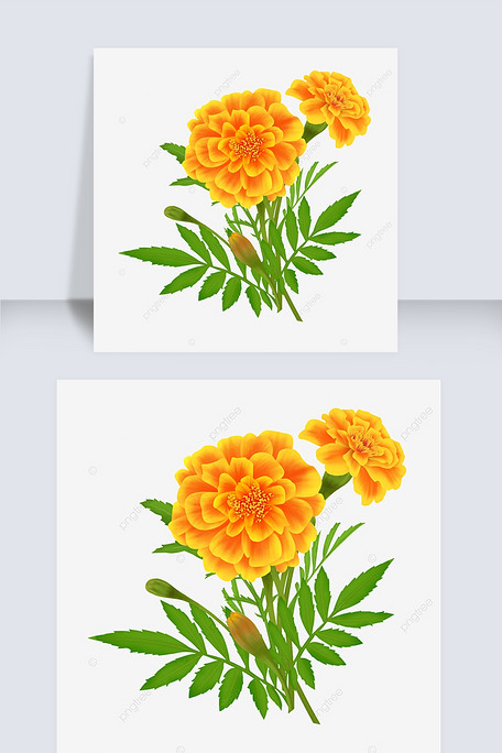 手绘可爱卡通元素插黄花