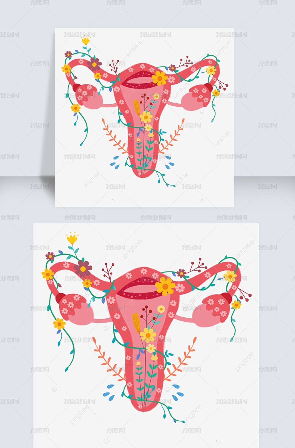 手绘卡通花卉女性生殖器系统图片素材模板下载 其他 我图网 手绘卡通花卉女性生殖器系统图片素材模板下载 其他 我图网