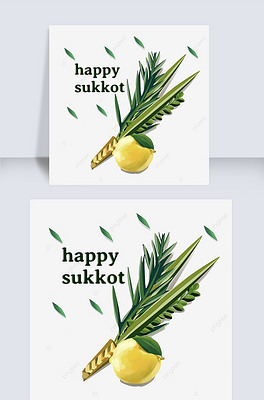 sukkotֻҶԪ