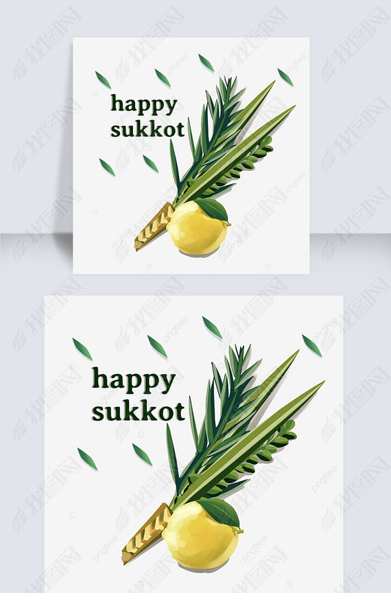 sukkotֻҶԪ