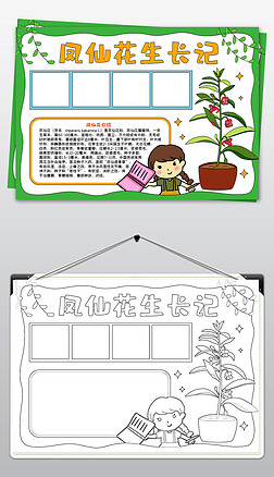 植物生长记录手抄报凤仙花生长记手抄报设计模板