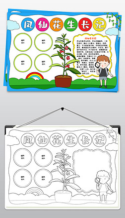 植物生长记录手抄报凤仙花生长记手抄报设计模板