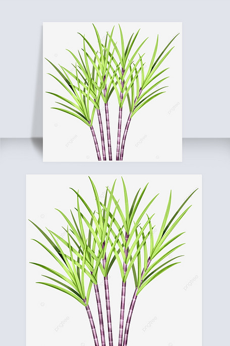 清新手绘风格甘蔗元素