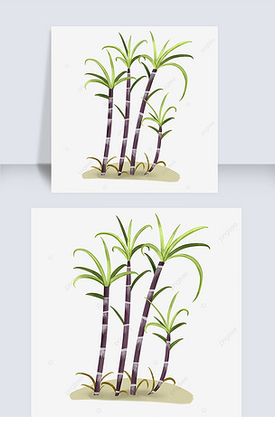 手绘风格甘蔗元素