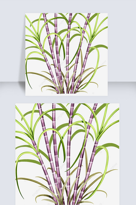 卡通风格甘蔗元素