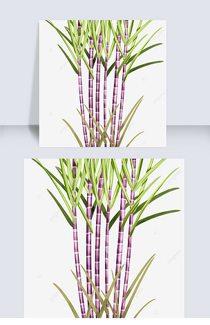 手绘风格甘蔗元素