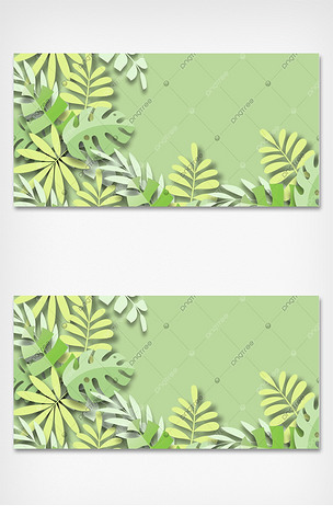 原创彩色夏季艺术风格龟背叶边框绿色背景