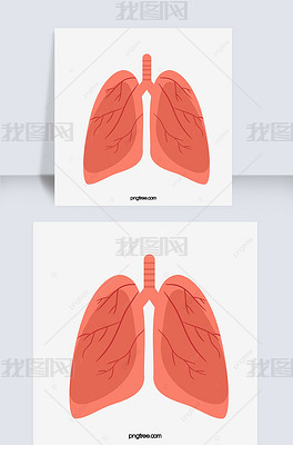 原创人体器官肺红色的肺卡通