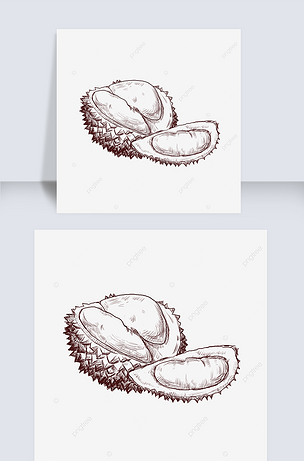 季节性水果榴莲线描