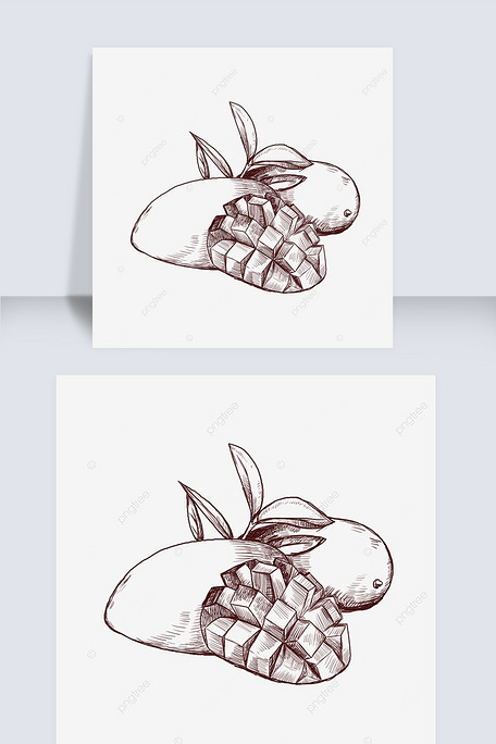 季节性水果芒果线描